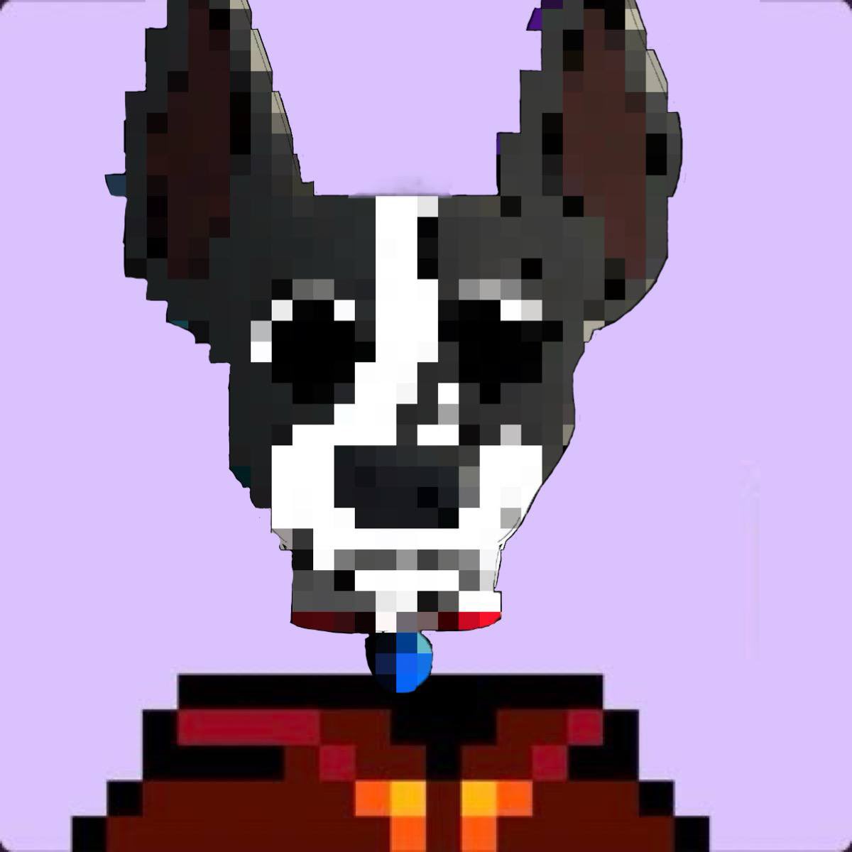 ADA | Solana Founders Dog tweet media