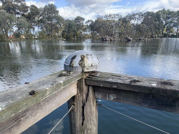 LidZen5's tweet photo. Good Morning from #Melbourne #Victoria #Australia. Be kind to yourself, others, critters and this amazing planet. #LifeBeInIt #MentalHealthMatters #Dance #Smile Accentuate the positive! Have an awesome day! https://t.co/hcpC03iKB1