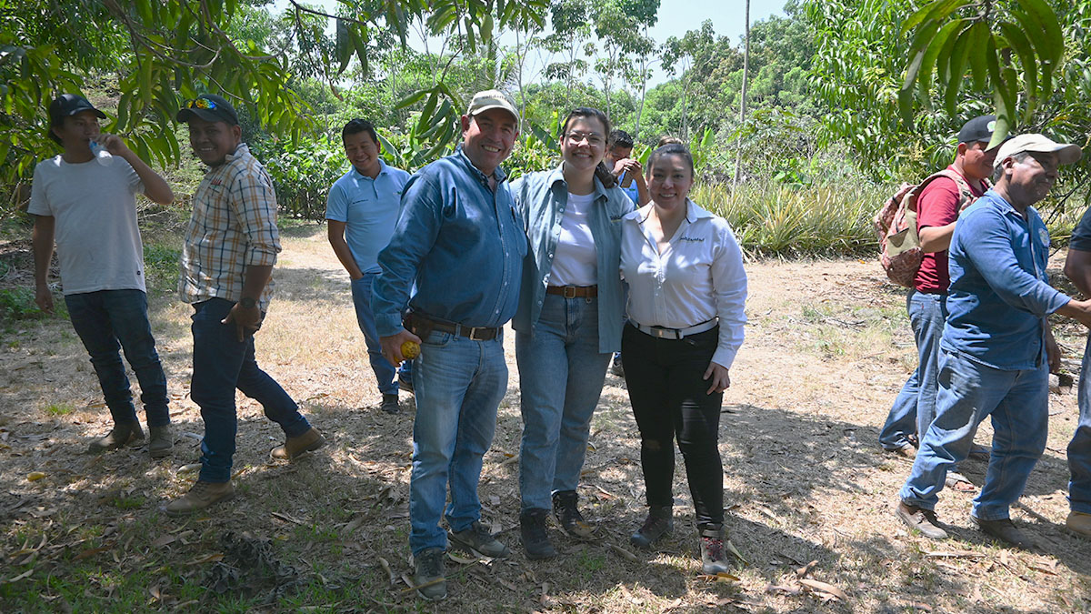 solidaridadMCA's tweet photo. 🌱 ¡Las #herramientasdigitales están transformando la asistencia en campo!

#ExtensionSolution de #Solidaridad permite capturar datos precisos, monitorear en tiempo real y ofrecer recomendaciones personalizadas. 

¡Eficiencia y facilidad ! 💻✨https://t.co/IqY5kDGwwV https://t.co/WI3lSzOyqH