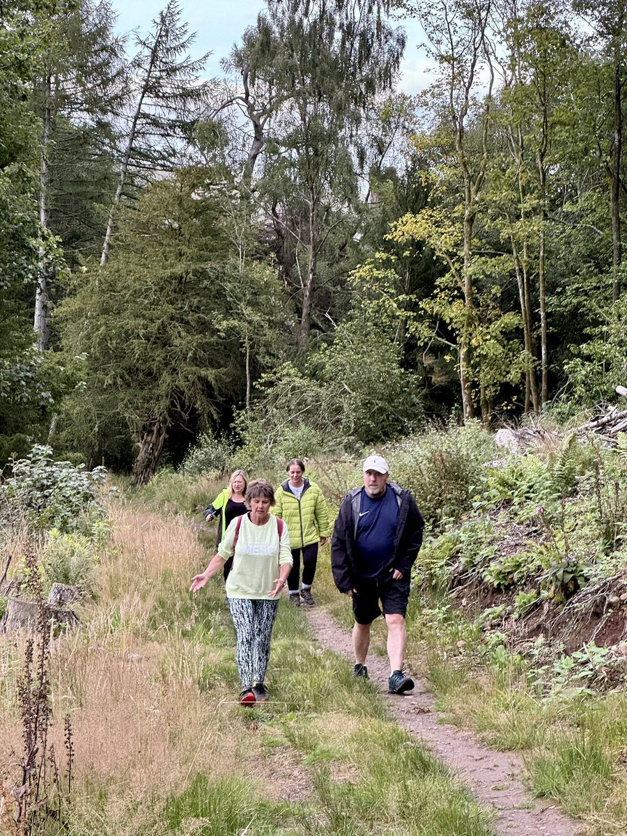 alistairgilli10's tweet photo. Another great evening group walk this time through Lennox forest taking in the Lennox castle hospital ruins and lovers leap great walk chat and lots of laughs along the way #walk #WalkOverWednesday #WALK #explore #ExploreMore #ExploreNature #outdoor https://t.co/uXDsOQBZuZ