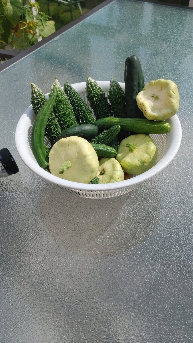 My Organic garden produce. <a href="/_houseandgarden/">House & Garden Magazine</a> <a href="/yeggarden/">jocelyn</a>
