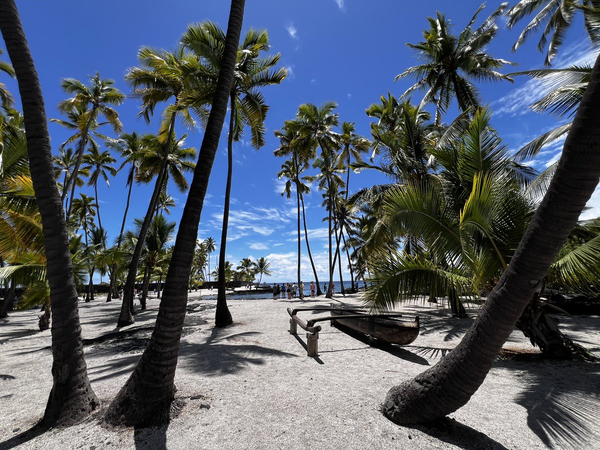 HIPacParks's tweet photo. Aloha! Here are cultural sharings for August at our partner Puʻuhonua O Hōnaunau NHP!
🌊☀️🌴
Aug 19 & 26 (Mondays): Ulana ʻIe - ʻIeʻie Style Basketry
Aug 22: Lomilomi - Hawaiian Massage & Healing
with Momi Nobriga. 9-2pm in the Hale
HPPA sponsoring.
Photo: NPS/PUHO
#PUHO #HPPA https://t.co/sNp0kZR0A0