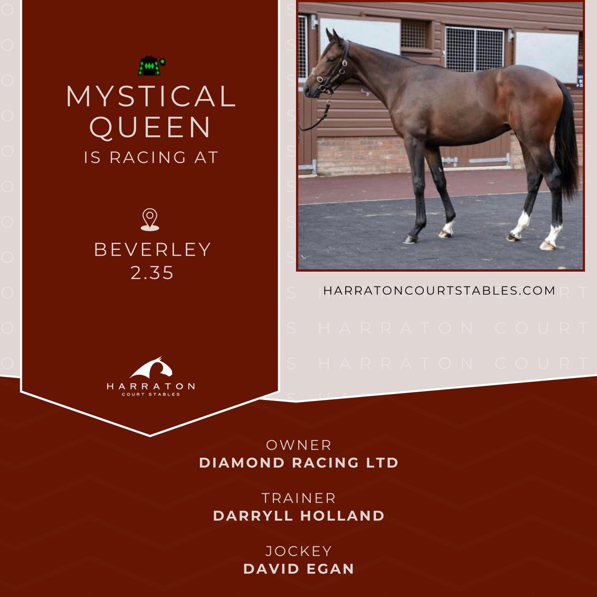 HarratonCourt's tweet photo. Excited to see Mystical Queen take the stage at Beverley 2.35! 🏇 Best of luck to owners @DiamondRacing , trainer #DarryllHolland , jockey #DavidEgan Let's bring it home! 🏆💎 #HorseRacing #GoMysticalQueen https://t.co/qrUi3sjb5H
