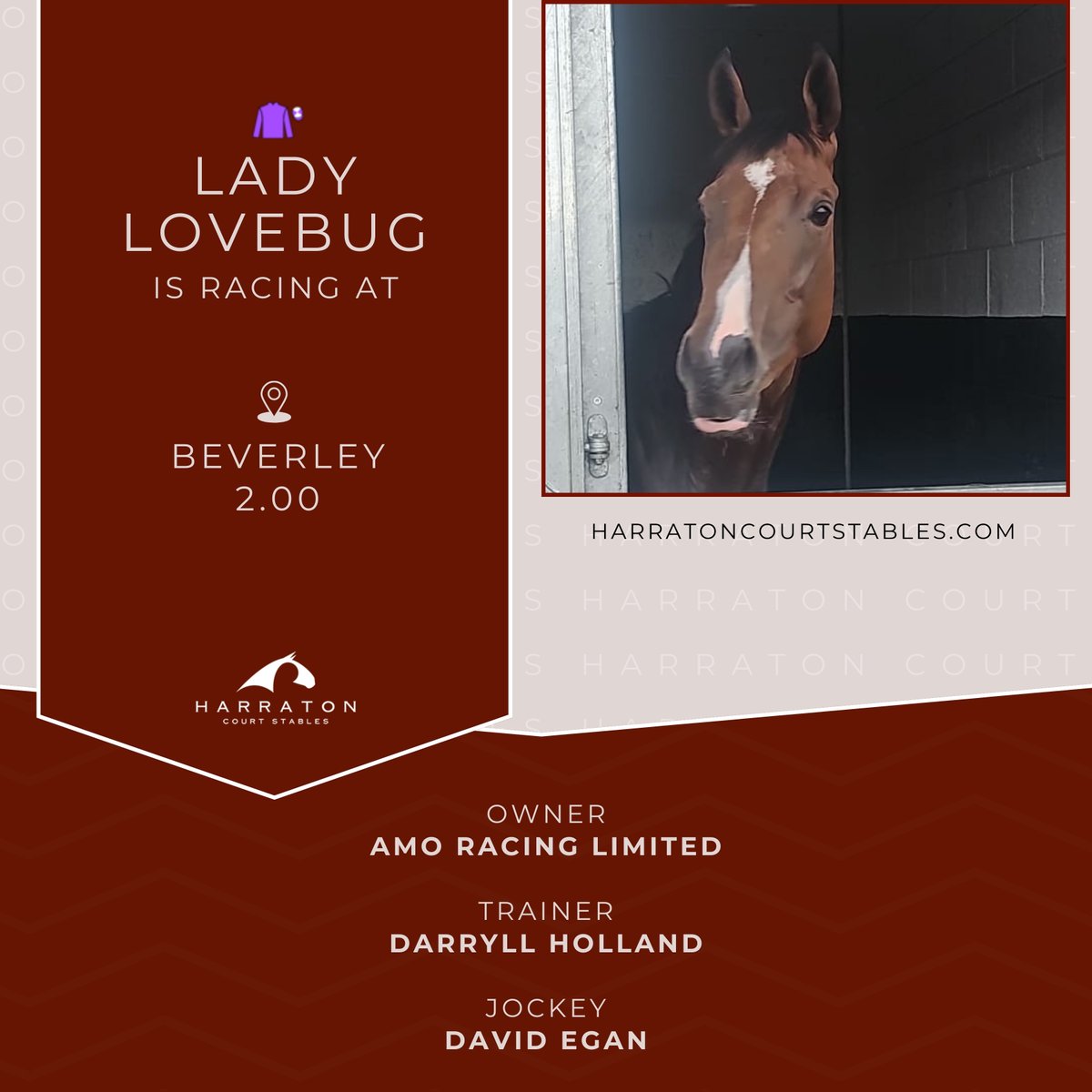 HarratonCourt's tweet photo. Cheering on Lady Lovebug at Beverley 2.00 today! 🐞 Sending the best of luck to owners @amoracingltd , trainer #DarryllHolland , jockey #DavidEgan and all connections! Let's go team! 🤞 #HorseRacing https://t.co/95ysFsbalZ