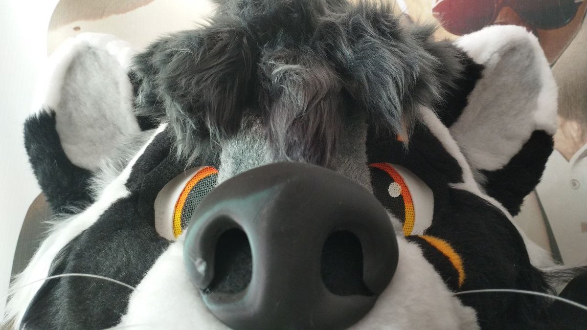 Shanukk🦝🇲🇽🔜 Confuror 2026 tweet media