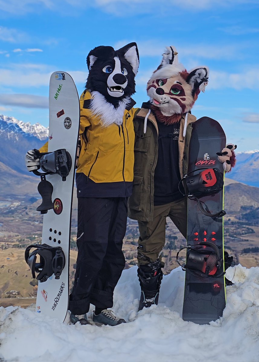 AyVex_'s tweet image. Good boi hours 🐶🦊❄️