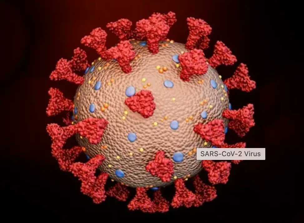 MDMichaelTurner's tweet photo. Concerned about COVID spike proteins? Nattokinase may help dissolve them and even address existing blood clots. Learn more about how this enzyme can support your health! #COVID19 #Nattokinase #SpikeProteins #PowerSupplements #HealthandWellness
https://t.co/zyQYGERsMW https://t.co/XzJ7gmjigd