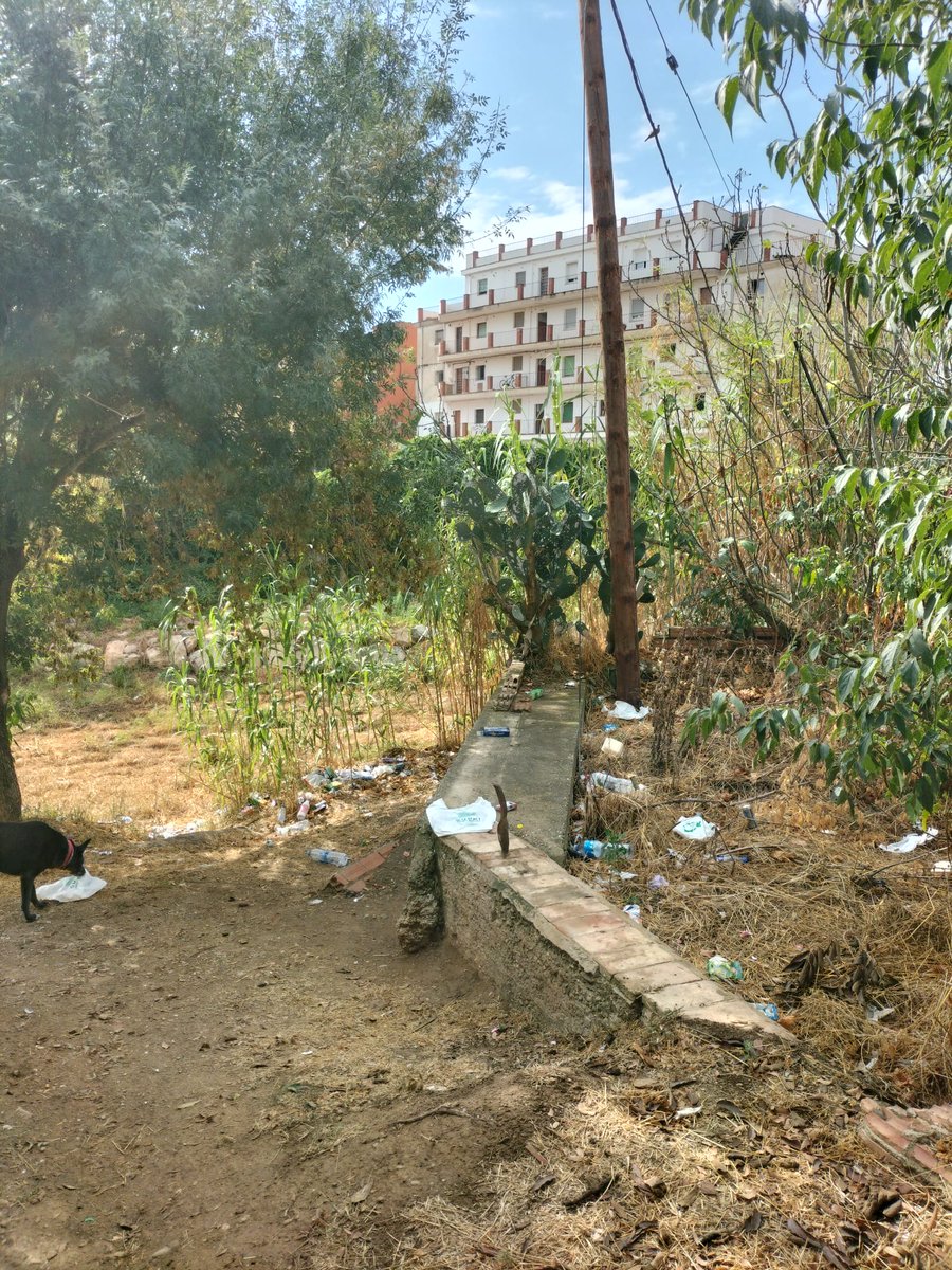 perezconchs's tweet photo. La situació de com es troba el cami que s'agafa des del Pont Vell de La Bisbal i que segueix paralel al riu https://t.co/foBhj80E0C hi ha dret que hi hagi tanta desídia i poc respecte per el medi ambient i les persones. https://t.co/5jSwgn8O0L