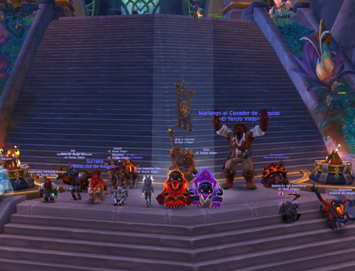 TercioViejo_Wow's tweet image. Y así un año más y una expansión más juntos que despedimos! La siguiente foto de familia... próximamente #TheWarWithin #worldofwarcraft #DunModr #ElTercioViejo