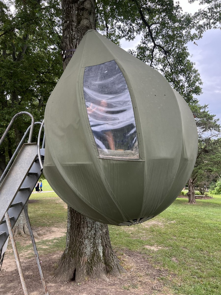 Dr. Bonita E. Jamison tweet media