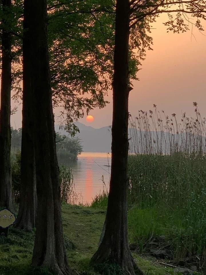 Emily Jane Rothwell 🖤🌸🖋️ tweet media