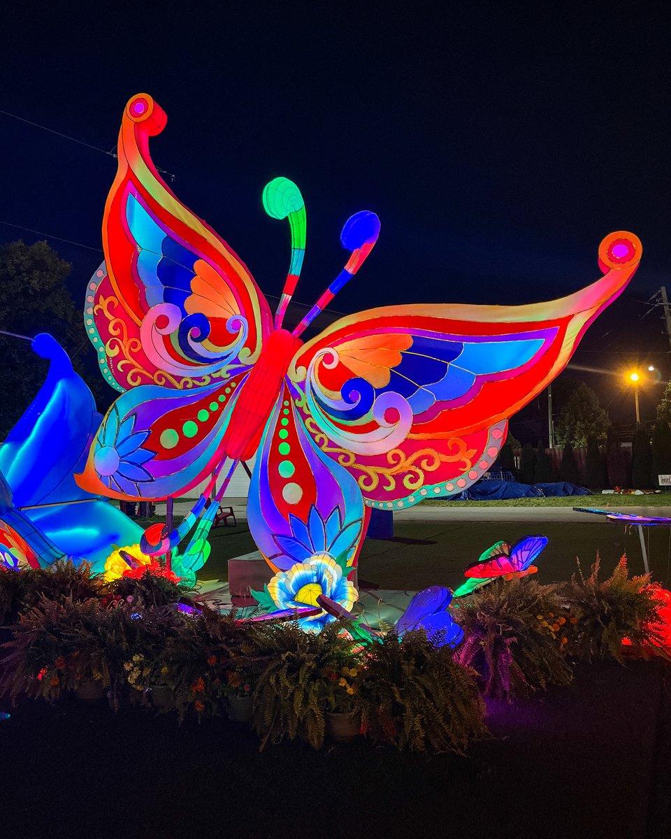 IndyStateFair's tweet image. Step into a world of light and wonder with our stunning lanterns! 🦋✨ Join us tonight at the Indiana State Fair for an unforgettable experience! #IndianastateFair #LanternMagic #NightTimeFun #indianapolis