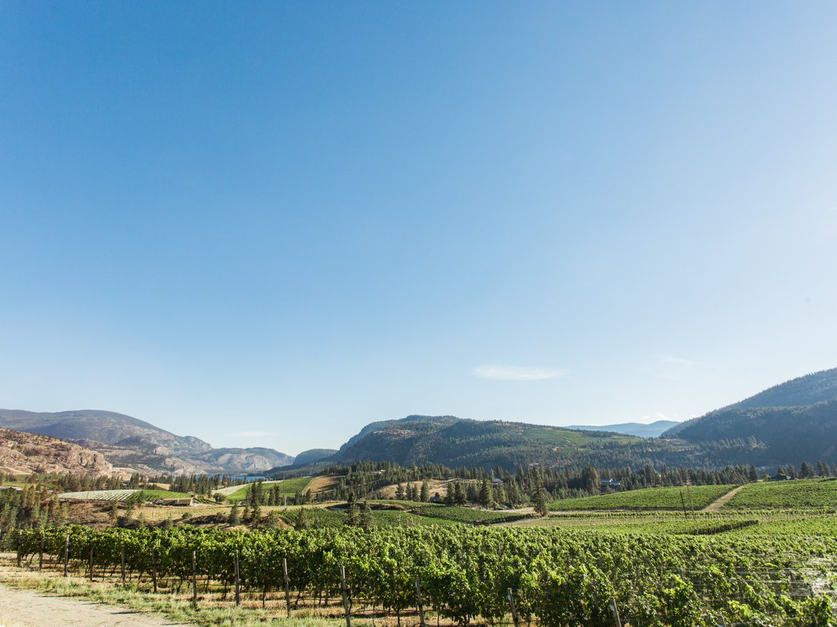 We’re lucky to say that dreamy landscapes can be found everywhere you go in BC wine country 🌄