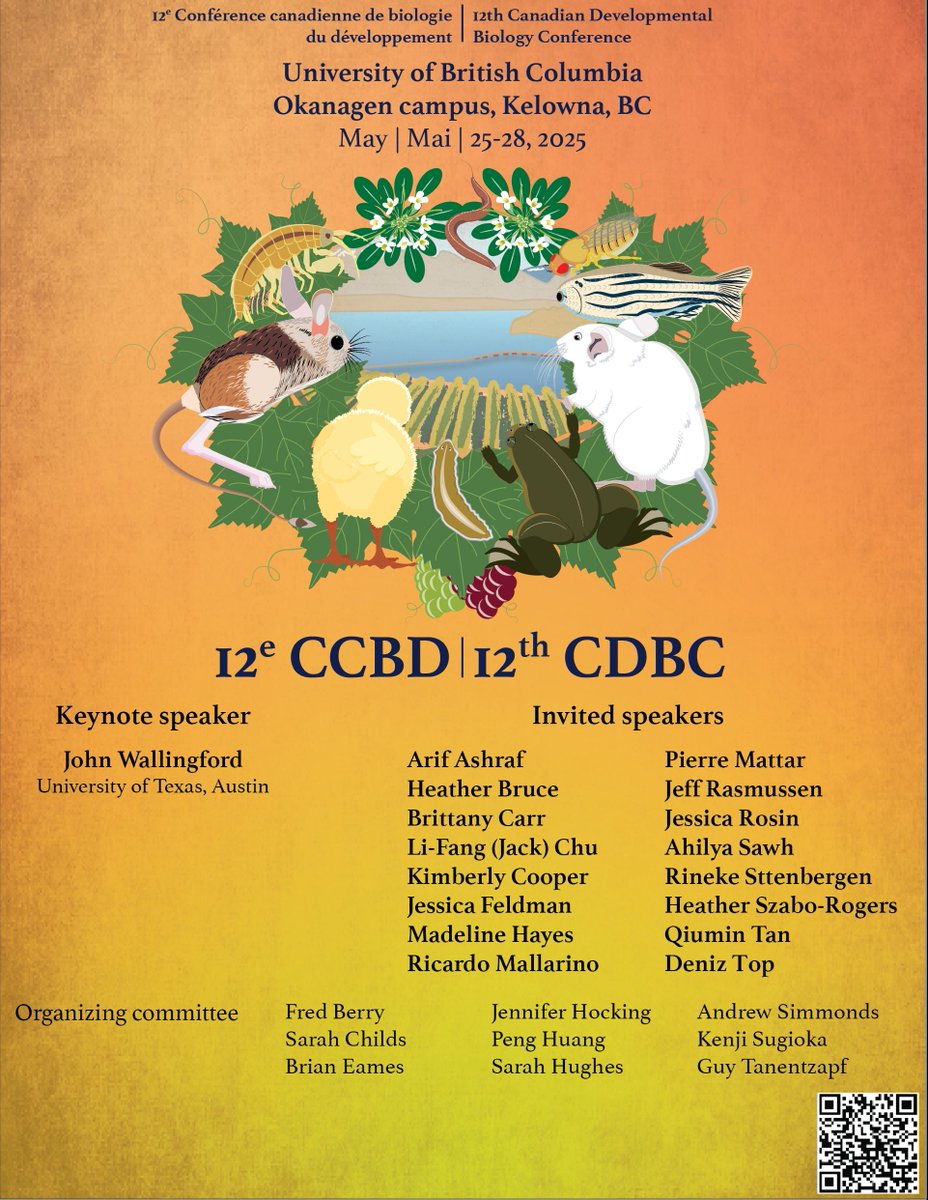 Do you like Developmental Biology? like going to meetings in beautiful places? Are you Canadian or like hanging out w/ Canadians? If you answered yes to these question please save the date! The 12th Canadian Developmental Biology meeting will be held on May 25-28, 2025 in Kelowna