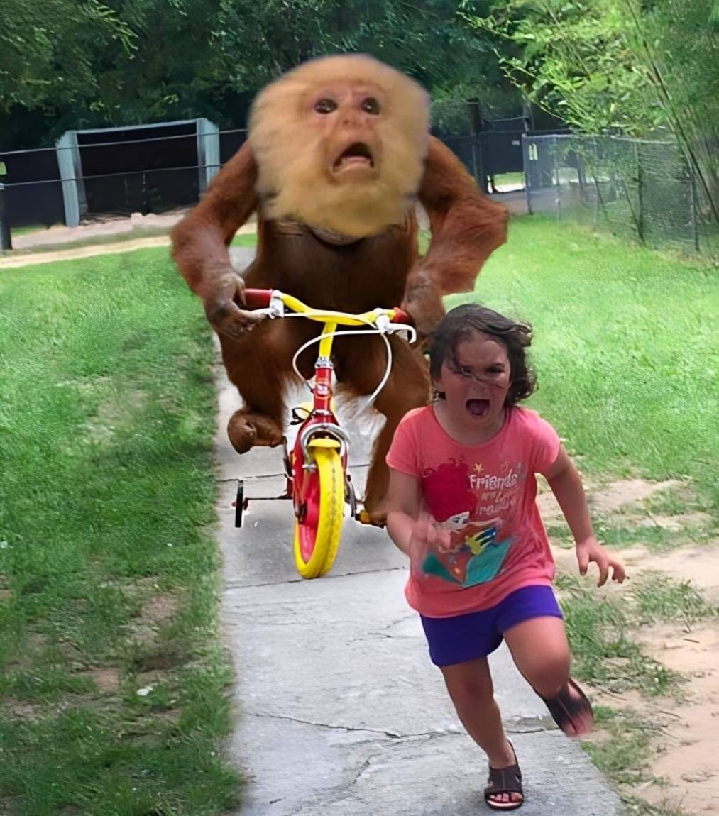 3 monkey pox coins emerged today
One winner rises above it all (other 2 rugged)
Goated ticker, strong team and community beats PvP boiz

$POXED