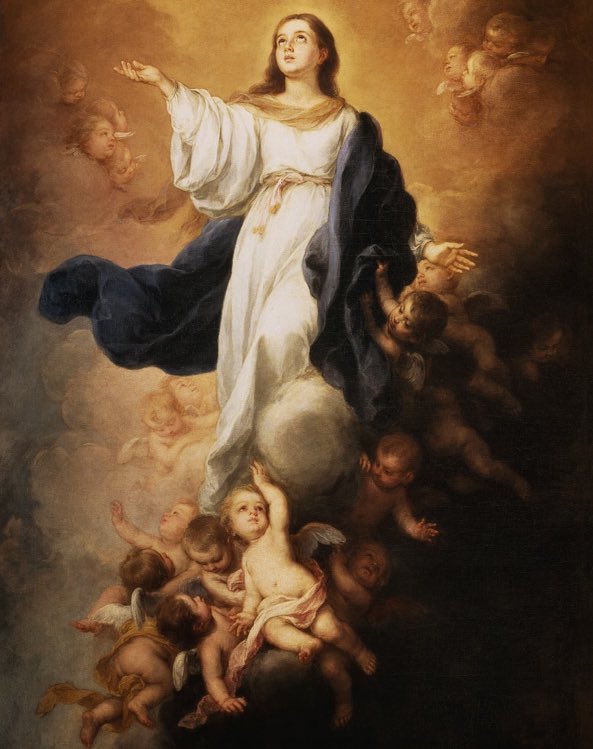 UniCatolicos_es's tweet photo. "Al cielo vais, Señora,
y allá os reciben con alegre canto.
¡Oh, quién pudiera ahora
asirse a vuestro manto
para subir con vos al Monte Santo!"

Feliz 15 de agosto, Fiesta de la Asunción de la Virgen María a los cielos. https://t.co/n4ASPFKfzK