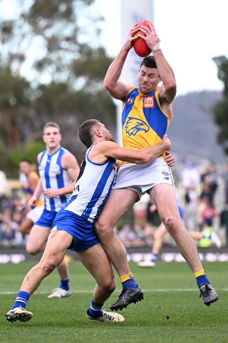 CODE AFL tweet media