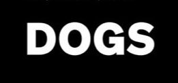 Gayu_BTC's tweet image. Will send more $Ton gas fees tomorrow to new set.

🦴We’ll all claim our $Dog

🦴You only need to follow and rtw.

Once i wake up i’ll send randomly.

🦴Drop only your $Ton add

👇