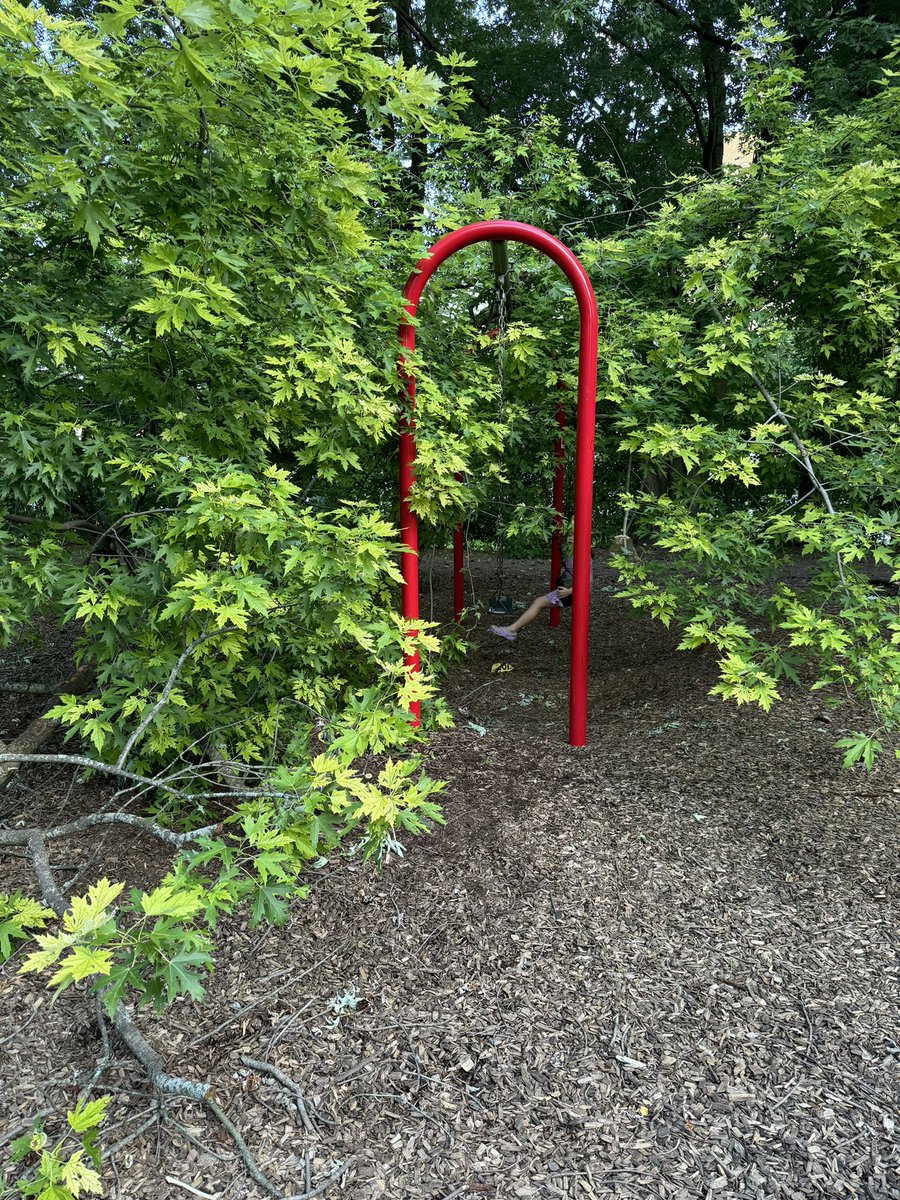 AGreatCapture's tweet photo. @JoshMatlow I’m wondering if you could help out with a maintenance request at Oriole Park?  A tree branch fell on three swings almost a month ago and no one has come to remove it.  The kids are missing the swings.  Thanks in advance. @Toronto311 https://t.co/Q7acRpns07