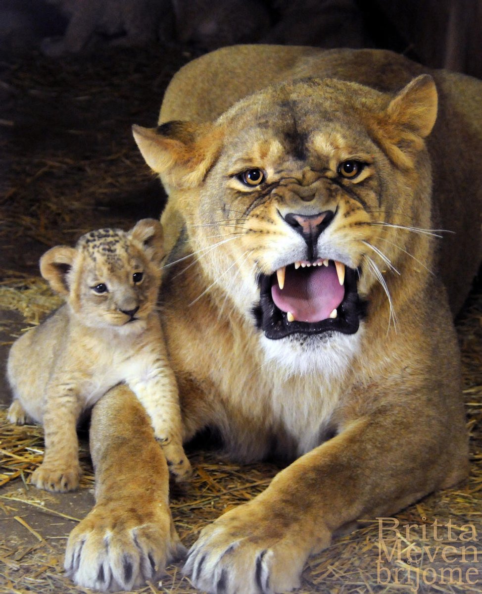 Queenofspring's tweet photo. @TheQNewsPatriot ✝️ Luke 8:17 #AllSecretsRevealed = = = ><>
Dear Father God + Help us to #SaveTheChildren
Forgive us for ever letting this kind of thing happen on this Earth which You Gave to us to Take Care Of.
May we Rise Up to Be the Bride You made us to be!
By the Power of Jesus + Ty + Amen https://t.co/y2ckvaPRJd