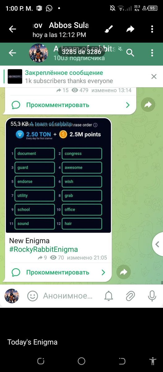 Step into the Rocky Rabbit ring! Who can hop the highest? Show us your skills! 🐰🏆