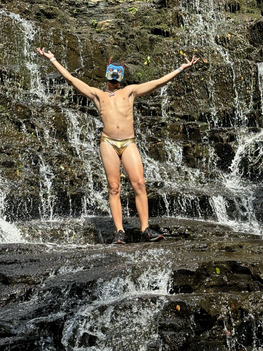 pupper_dash's tweet image. And over to the left you will see a wild Puppy Dash upon his pride rock, basking in the sunlight☀️☀️