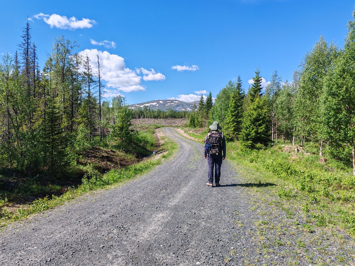 district_metals's tweet image. $DMX&apos;s clear path to success:

💪 Strong team with experience in #uranium and #basemetals
🇸🇪 Focused on a top mining jurisdiction
💡Portfolio focused on uranium polymetallic properties
⛏  Additional base metals polymetallic JV with Boliden
👥Supportive shareholder base
