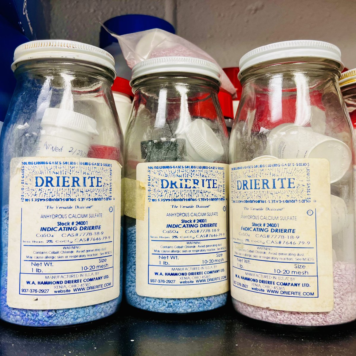 Kelly Clemenza tweet media