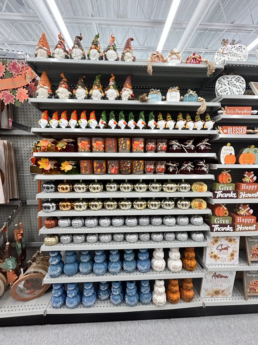So many cute fall items in at Dollarama!
#dollarama #fall #MH_Mall