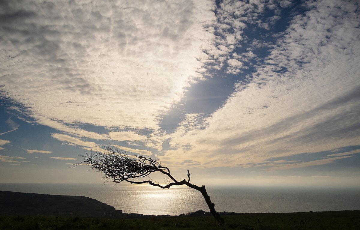 crawleycamera's tweet image. Our profile header updated with one of the top images from the recent Monthly Set Sub Competition "the letter QW" - Windswept by Steve Yates