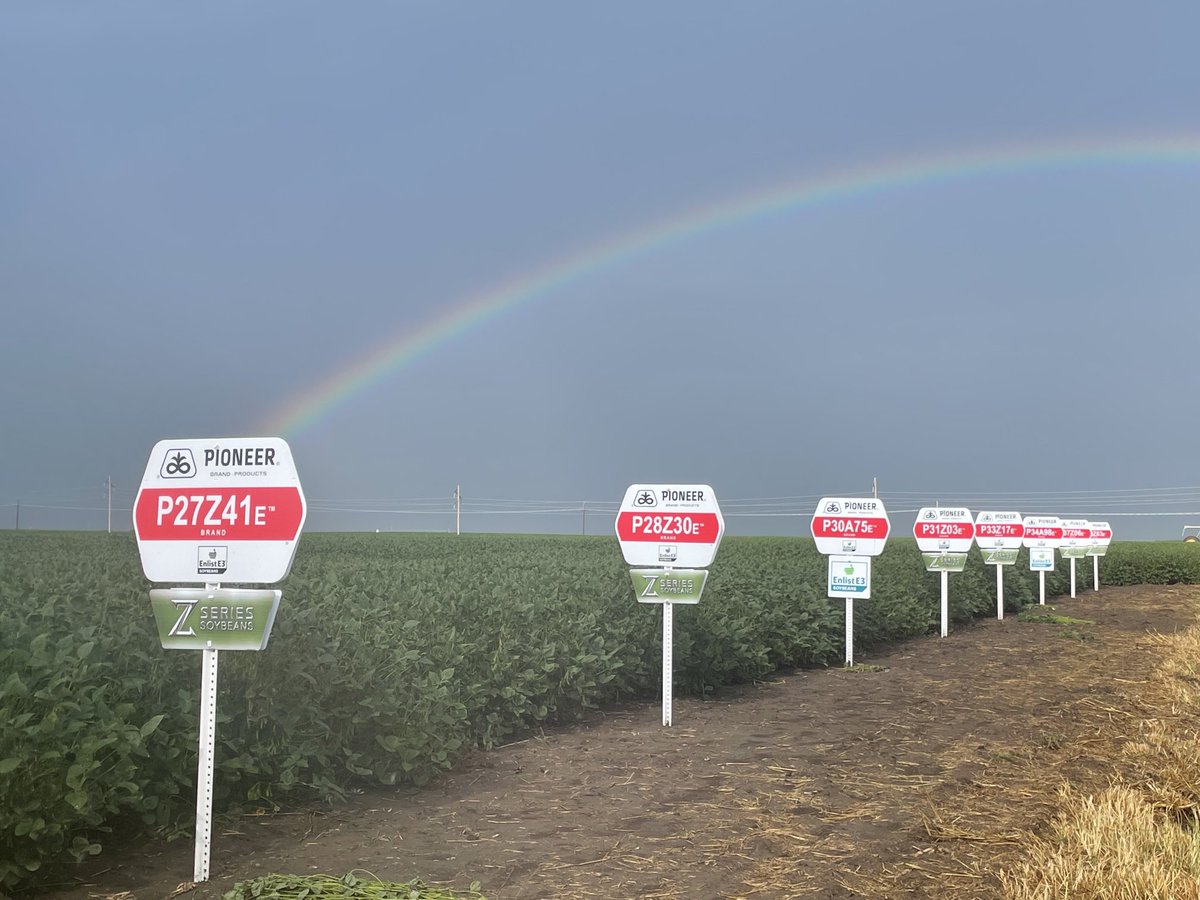 Ron Dubbert (@dubbertron) on Twitter photo Pot of Gold with Z-Series Soybeans! Step change in Yield and Agronomics!! #seetheleaders #Innovationdays <a href="/micksterbrau/">John Mick</a> <a href="/kennel9/">Kirk Kennel</a> <a href="/PioneerSeeds/">Pioneer Seeds U.S.</a> Pot of Gold with Z-Series Soybeans! Step change in Yield and Agronomics!! #seetheleaders #Innovationdays <a href="/micksterbrau/">John Mick</a> <a href="/kennel9/">Kirk Kennel</a> <a href="/PioneerSeeds/">Pioneer Seeds U.S.</a>