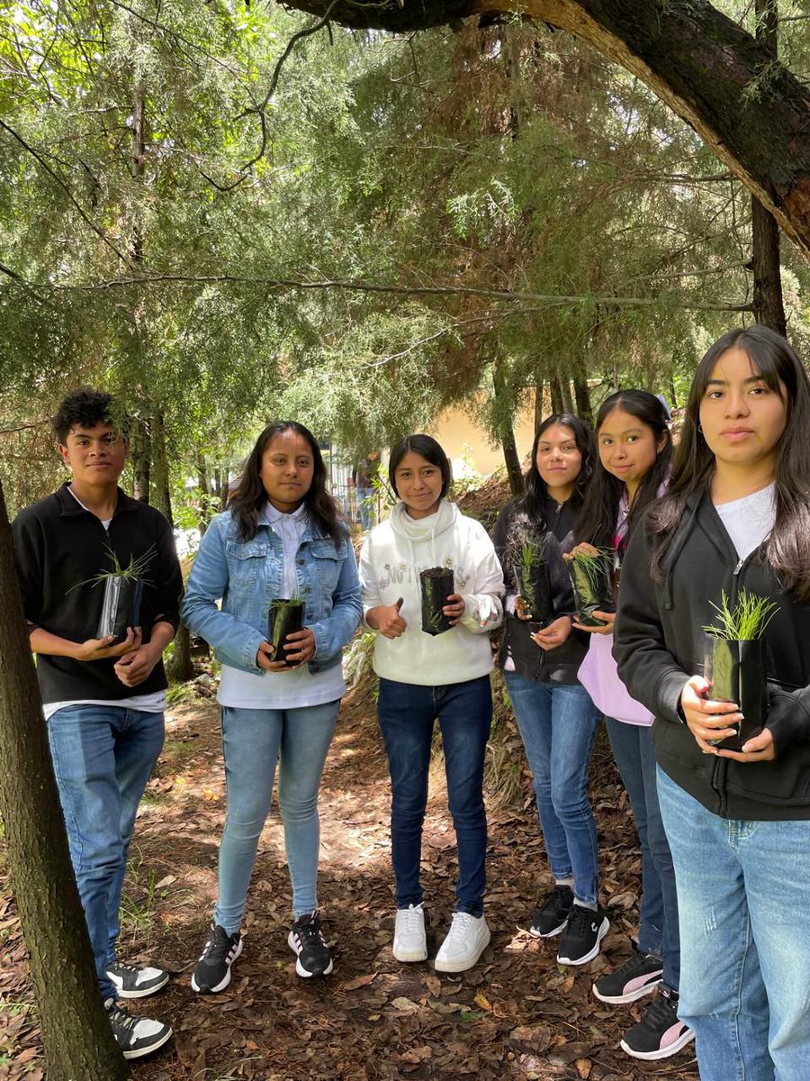 Cobaem_Morelos's tweet photo. 🍃🌳En seguimiento a las actividades del programa #ECOBAEM y el Programa Aula Escuela Comunidad, las y los alumnos de nuevo ingreso del #Emsad05 #Hueyapan, junto con el Área de Ciencias Naturales, dieron arranque al proyecto denominado “Siembra y adopta un árbol”, https://t.co/ggHKusz1UZ