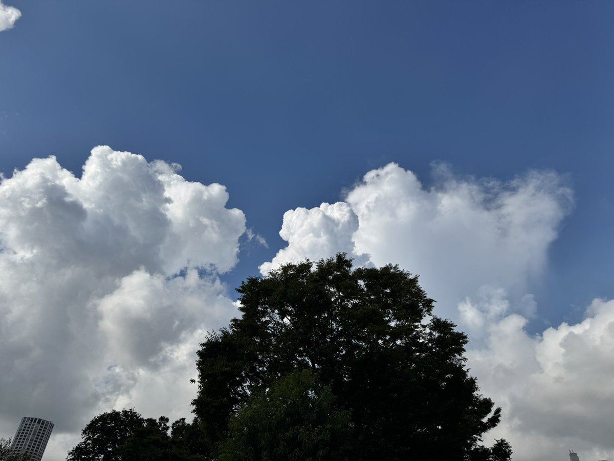 taromatsumura's tweet image. 夏っぽい入道雲が朝からもくもく。

#Daikanyama #Tokyo #Charging My #Tesla