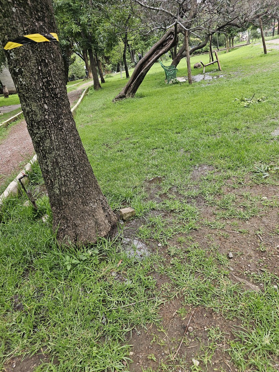 eavenda's tweet photo. @ACHEcolonos fuga de agua importante en el parque de la Herradura @HuixquiGob https://t.co/UhjHCLNEre