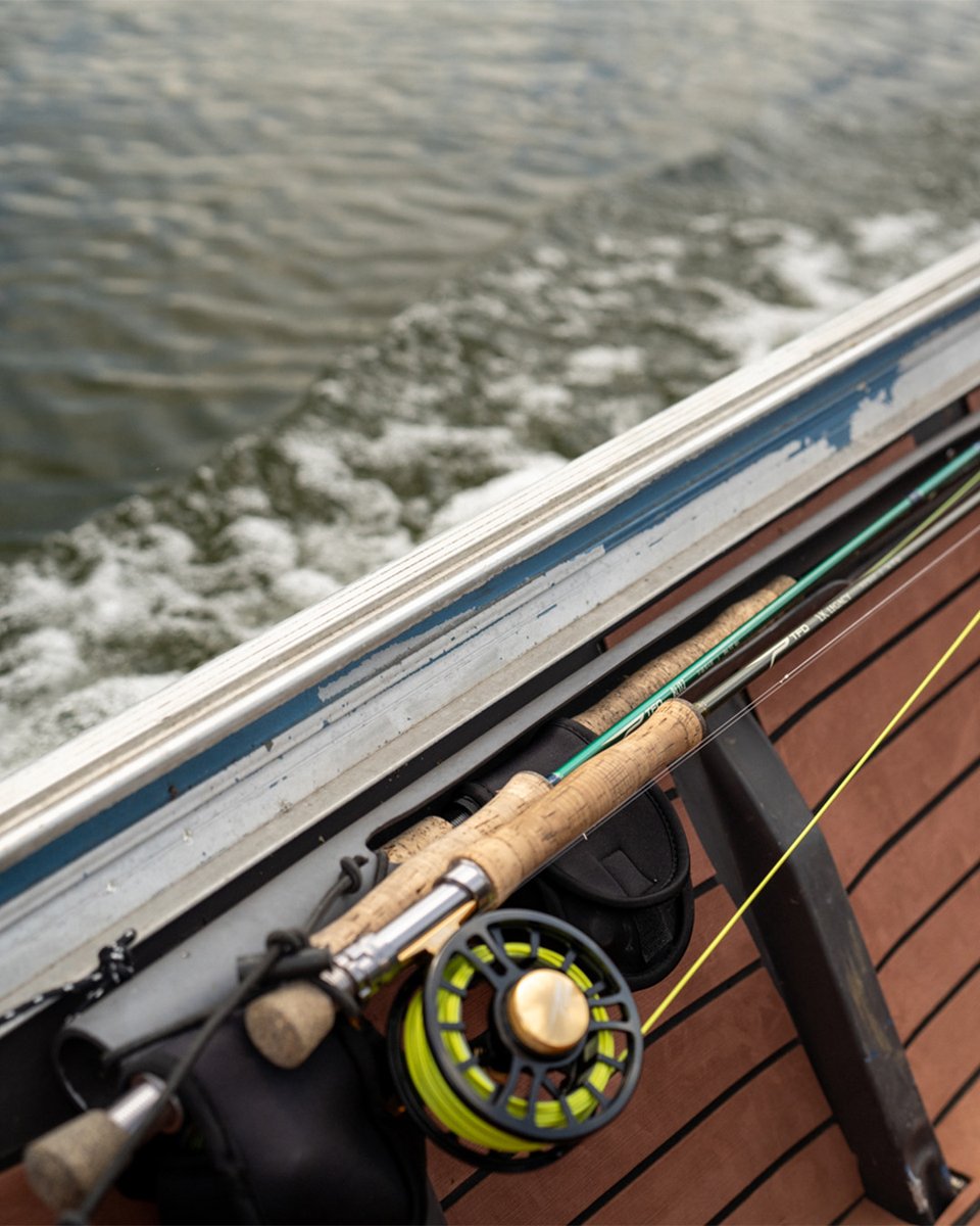 TFO Rods tweet media