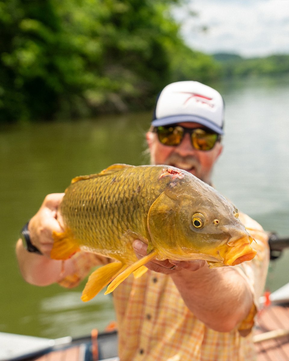 TFO Rods tweet media