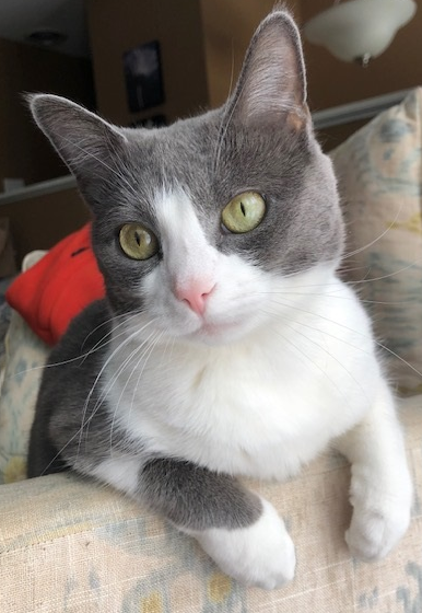 Bay Treasure Chest tweet media