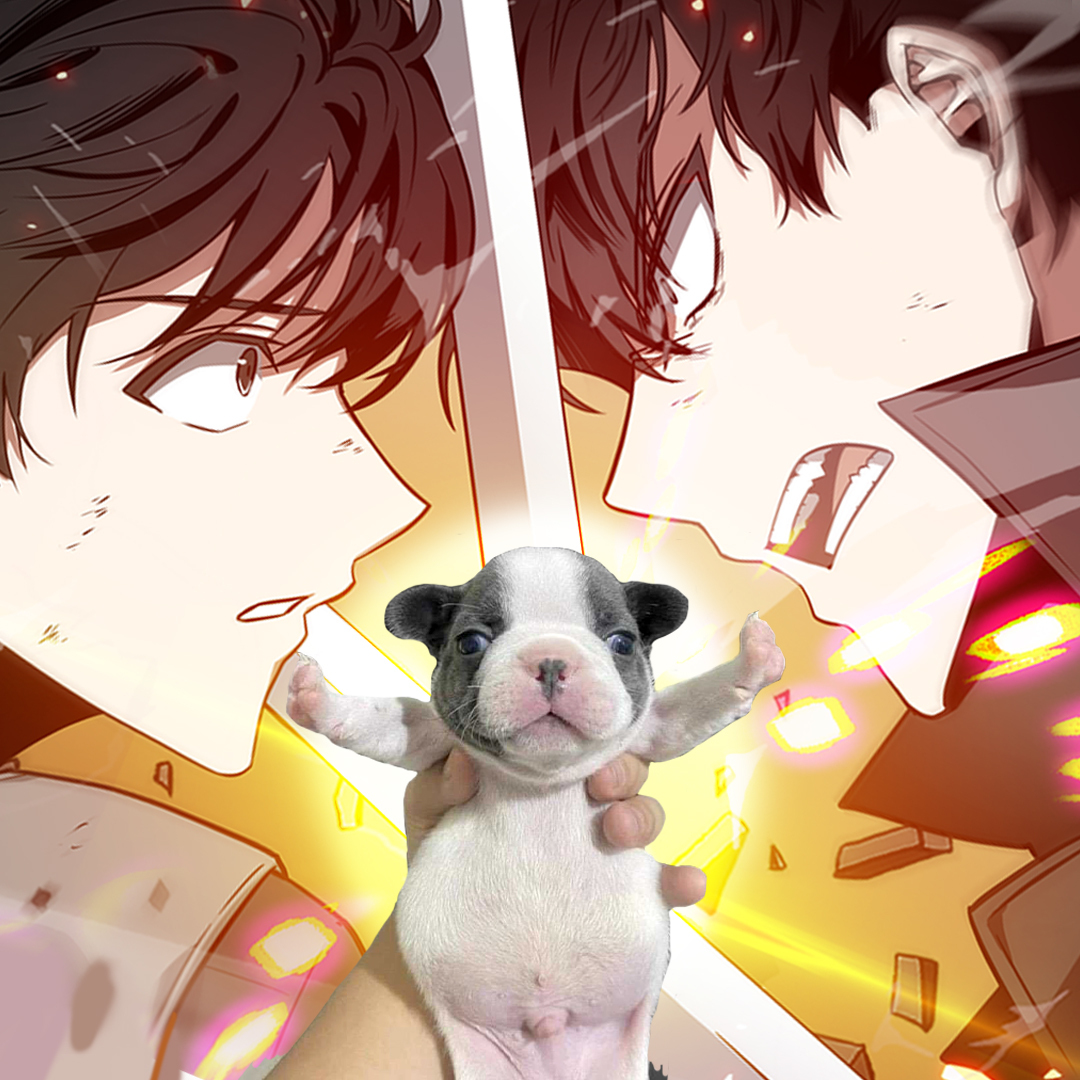 STOPPPPPPPPPPPPPPPPPPPPPPPPP