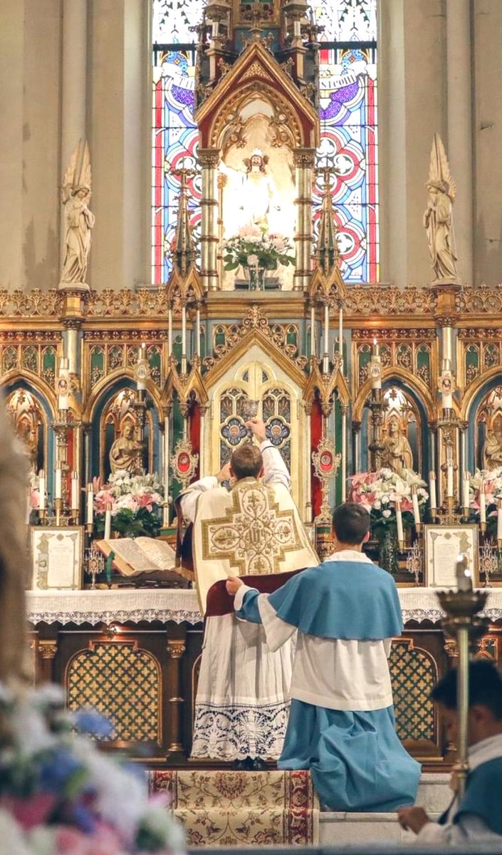 The Wojciech Cejrowski tweet media