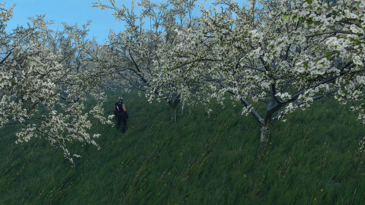iYENDAl's tweet photo. THE WITCHER⚔️

One of the most beautiful and beloved games in my heart✨🤍 https://t.co/1fvR0XdJVI