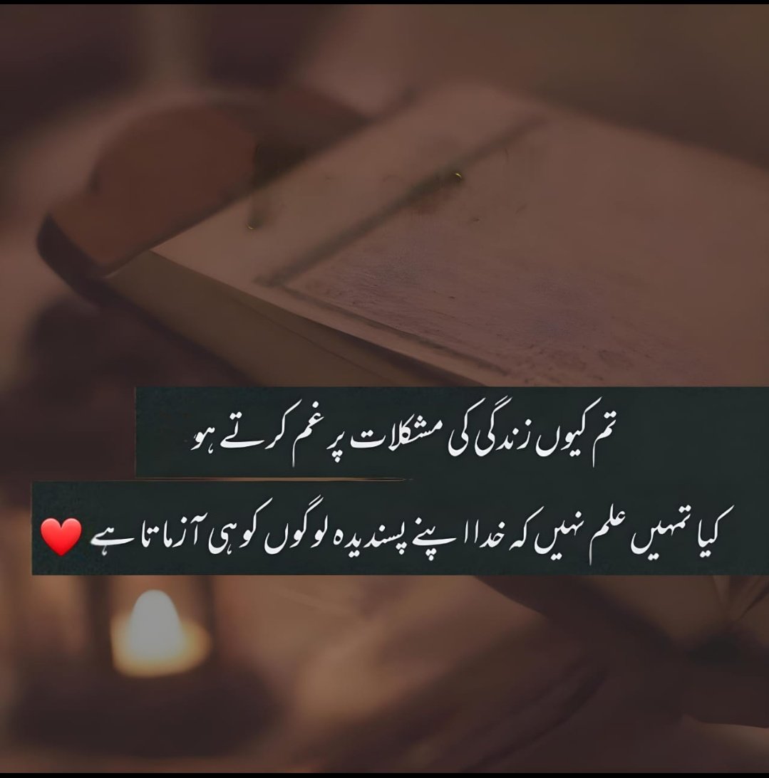 Abuzar Rajput tweet media