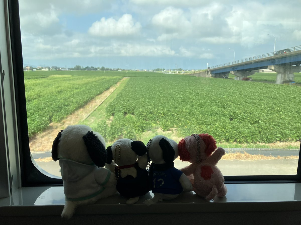 snoopy20211's tweet photo. おはようございます。今日はお出かけです。車内は快適だけど外は暑そう。こまめに水分補給をしないとね。 https://t.co/DyAEaiUZeN