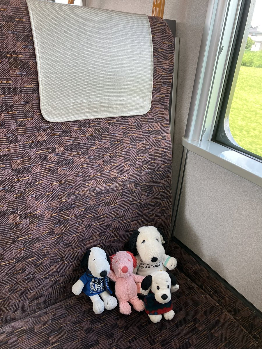snoopy20211's tweet photo. おはようございます。今日はお出かけです。車内は快適だけど外は暑そう。こまめに水分補給をしないとね。 https://t.co/DyAEaiUZeN