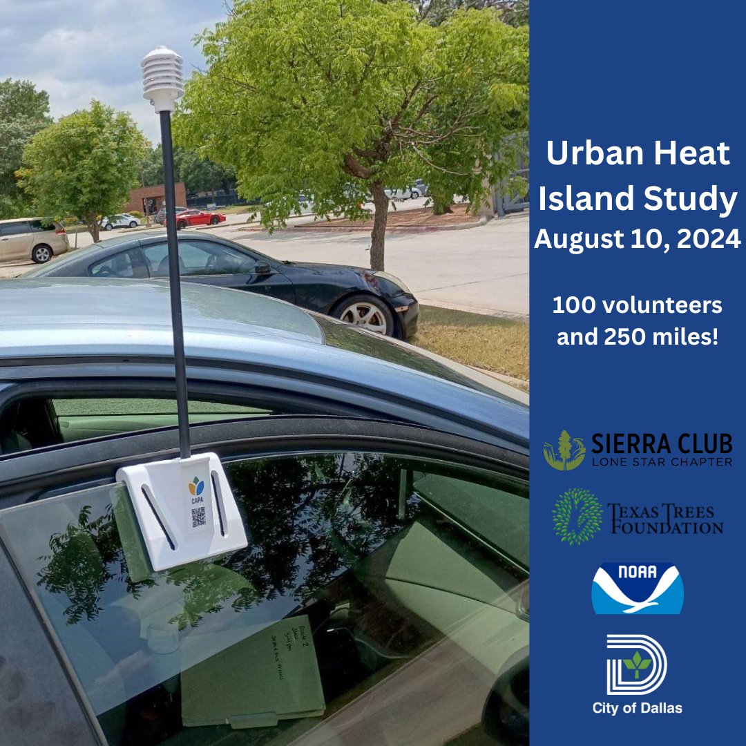 Green Dallas tweet media