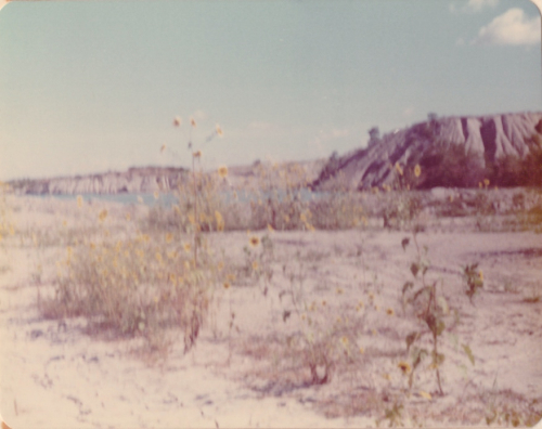 ESCONI's tweet photo. Mazon Monday #229: Pit 11 Field Trip in September 1976 #fossils #paleontology #flashback #pit11 #MazonCreek #MazonMonday #mazonia #pennsylvanian
https://t.co/jVZTeKcngn https://t.co/iTMwXxVHfE