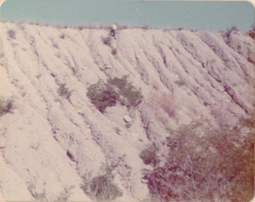 ESCONI's tweet photo. Mazon Monday #229: Pit 11 Field Trip in September 1976 #fossils #paleontology #flashback #pit11 #MazonCreek #MazonMonday #mazonia #pennsylvanian
https://t.co/jVZTeKcngn https://t.co/iTMwXxVHfE