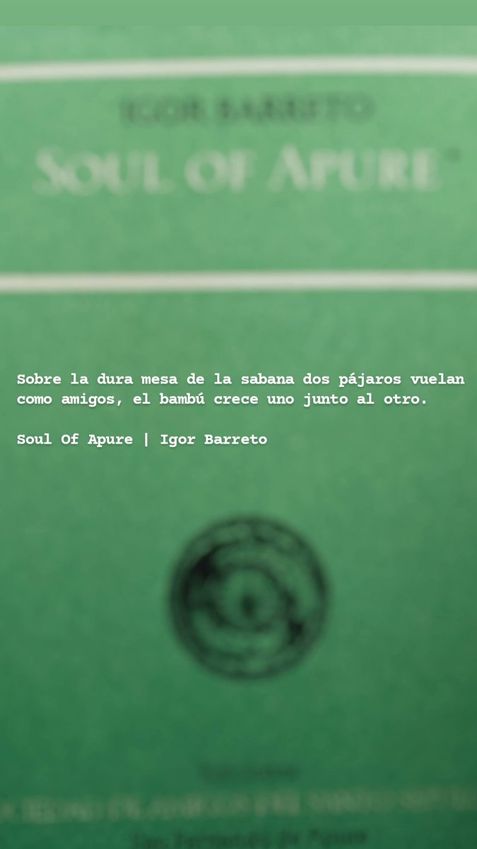 MarioD. tweet media