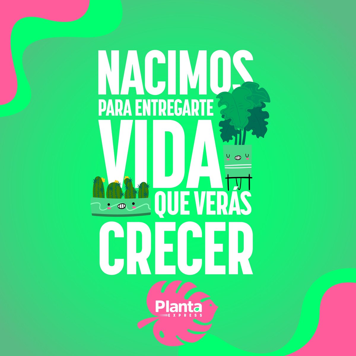 bubblegumdj's tweet photo. ¡La vida es más linda en un hogar verde! https://t.co/XJBu5kBQcg