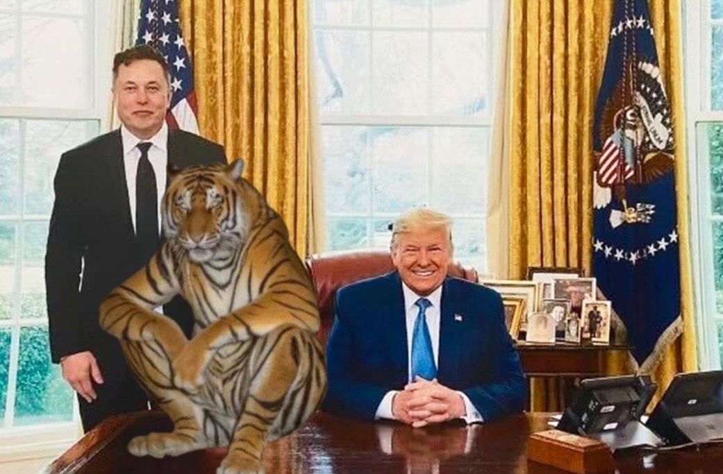 USDTiger's tweet image. Business meetin’ today 🧠