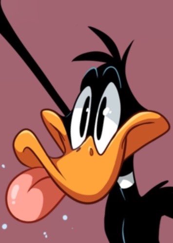 Smitty__McGee's tweet photo. @realDonaldTrump #TrumpIsDone #DaffyDuck https://t.co/wLudqbph33